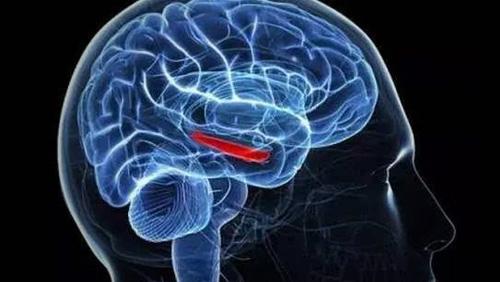 多功能经颅磁|怎么预防脑血栓的发生