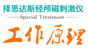 经颅磁刺激疗法_帕金森和老年痴呆是一种病吗